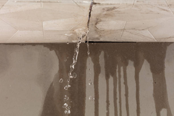 Professional Water Damage Repair technician working in Mansfield, OH